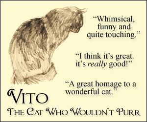 Vito graphic - 300x250